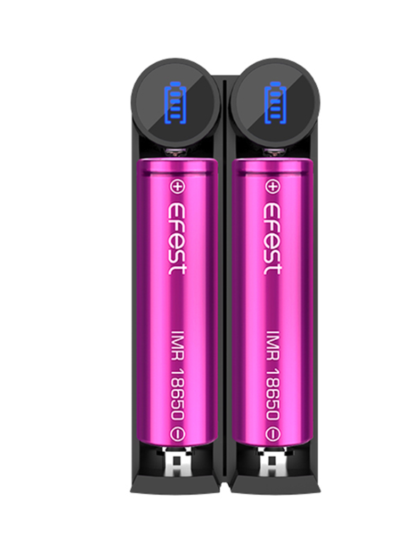 Efest Battery Charger